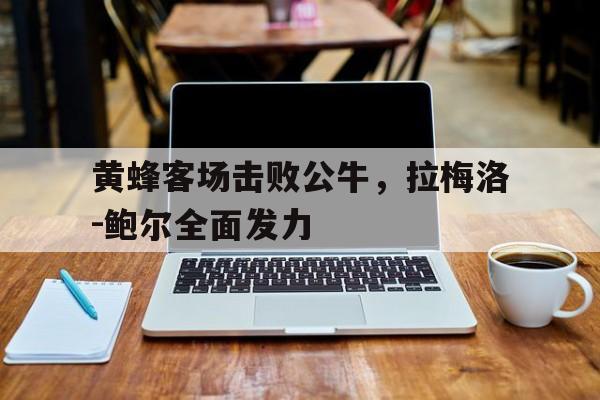 关于黄蜂客场击败公牛，拉梅洛-鲍尔全面发力的信息