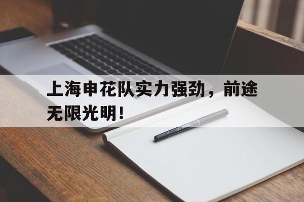 关于上海申花队实力强劲，前途无限光明！的信息